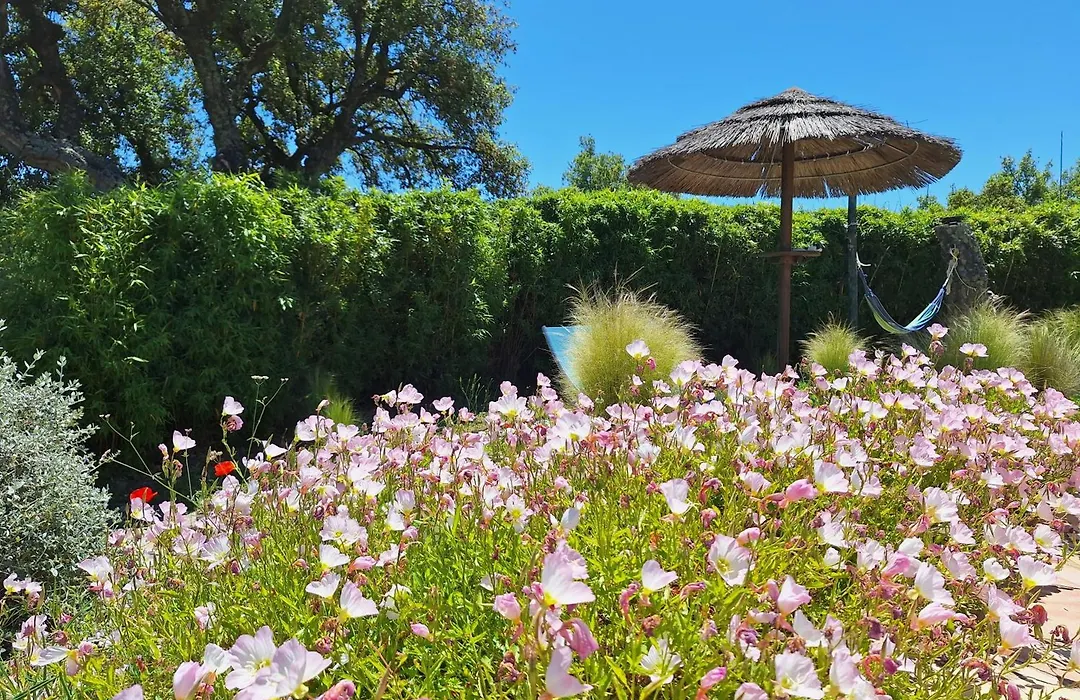 Villa des Delices-1